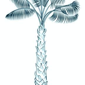 Раскраска Пальма