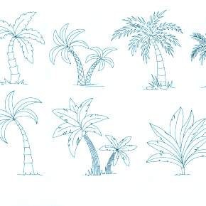 Раскраска Пальма