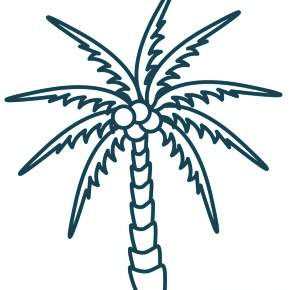 Раскраска Пальма