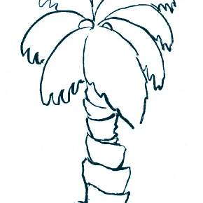 Раскраска Пальма