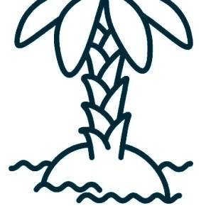 Раскраска Пальма