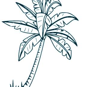 Раскраска Пальма