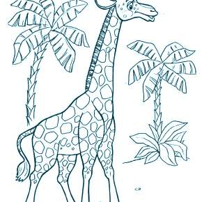 Раскраска Пальма