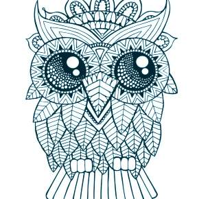 Раскраска Сова Раскраска Сова