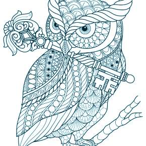 Раскраска Сова Раскраска Сова