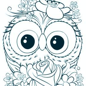 Раскраска Сова Раскраска Сова