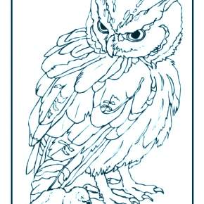 Раскраска Сова Раскраска Сова