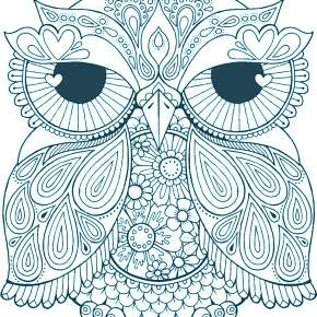 Раскраска Сова Раскраска Сова