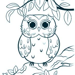 Раскраска Сова Раскраска Сова