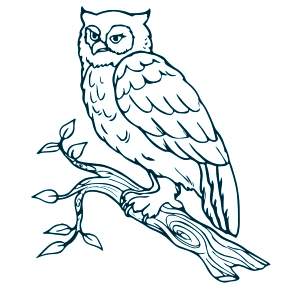 Раскраска Сова Раскраска Сова