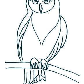 Раскраска Сова Раскраска Сова