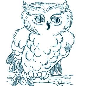 Раскраска Сова Раскраска Сова