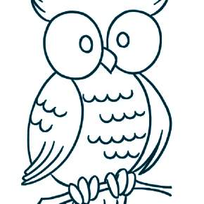 Раскраска Сова Раскраска Сова