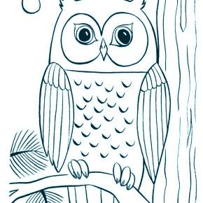 Раскраска Сова Раскраска Сова