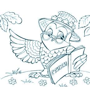 Раскраска Сова Раскраска Сова