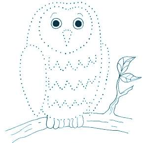 Раскраска Сова Раскраска Сова