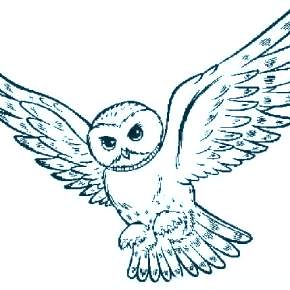 Раскраска Сова Раскраска Сова
