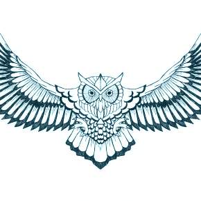 Раскраска Сова Раскраска Сова