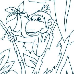 Раскраска 38 Попугаев Раскраска 38 Попугаев