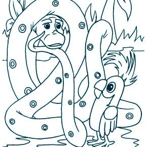 Раскраска 38 Попугаев Раскраска 38 Попугаев