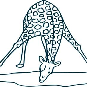 Раскраска Жирафа