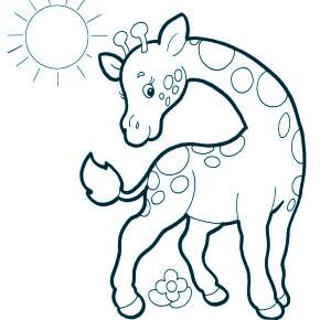 Раскраска Жирафа