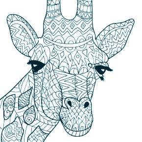 Раскраска Жирафа