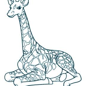Раскраска Жирафа