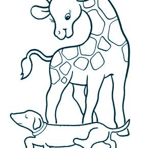 Раскраска Жирафа