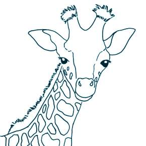 Раскраска Жирафа