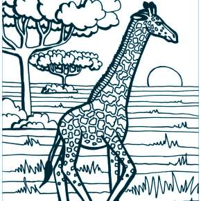Раскраска Жирафа