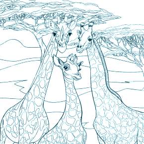 Раскраска Жирафа