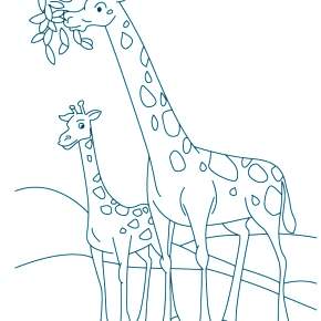 Раскраска Жирафа