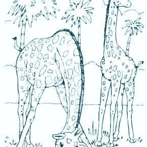 Раскраска Жирафа