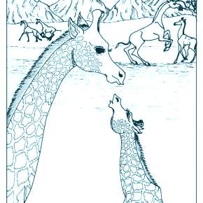 Раскраска Жирафа