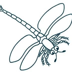 Раскраска Стрекоза