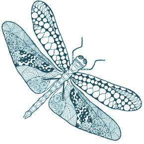 Раскраска Стрекоза