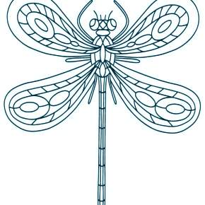 Раскраска Стрекоза