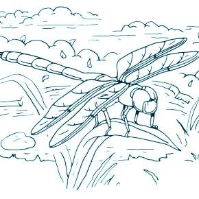 Раскраска Стрекоза