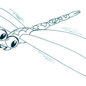 Раскраска Стрекоза