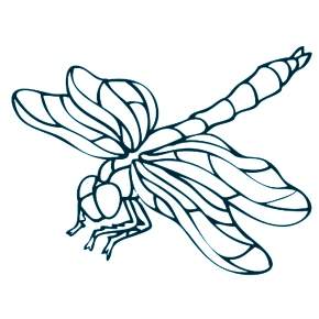 Раскраска Стрекоза