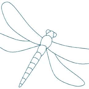 Раскраска Стрекоза