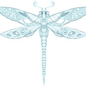 Раскраска Стрекоза