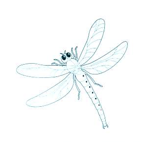 Раскраска Стрекоза
