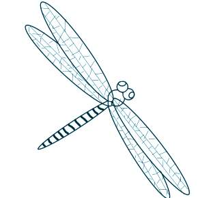Раскраска Стрекоза