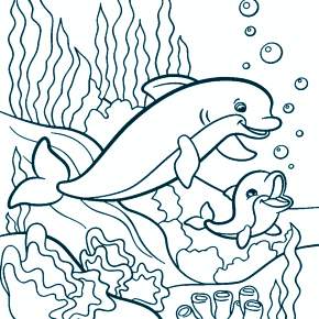 Раскраска море и Дельфины Раскраска море и Дельфины