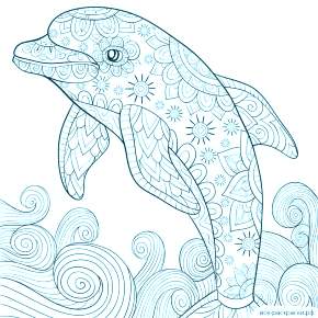 Раскраска море и Дельфины Раскраска море и Дельфины