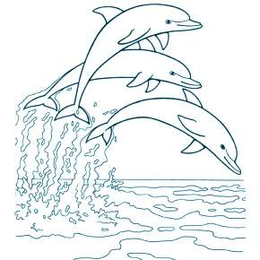 Раскраска море и Дельфины Раскраска море и Дельфины