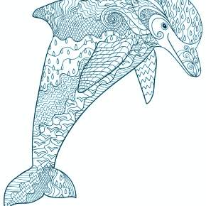 Раскраска море и Дельфины Раскраска море и Дельфины