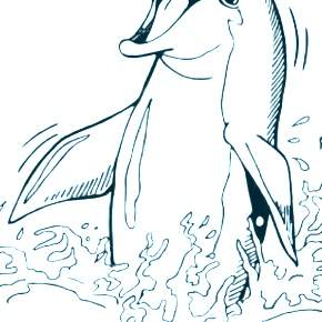 Раскраска море и Дельфины Раскраска море и Дельфины